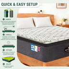 Orthopaedic Mattress for Back Pain Relief Luxe Euro