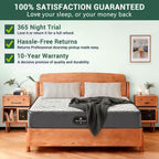 Orthopaedic Mattress for Back Pain Relief Luxe Pillow