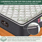 Orthopaedic Mattress for Back Pain Relief Luxe Pillow