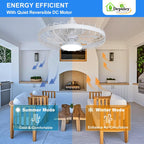 Outdoor Ceiling Fan with Light: 20 Inch Waterproof