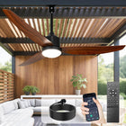 Black + Walnut