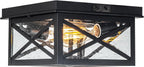 Outdoor Ceiling Lights with Motion Sensor Dusk Till