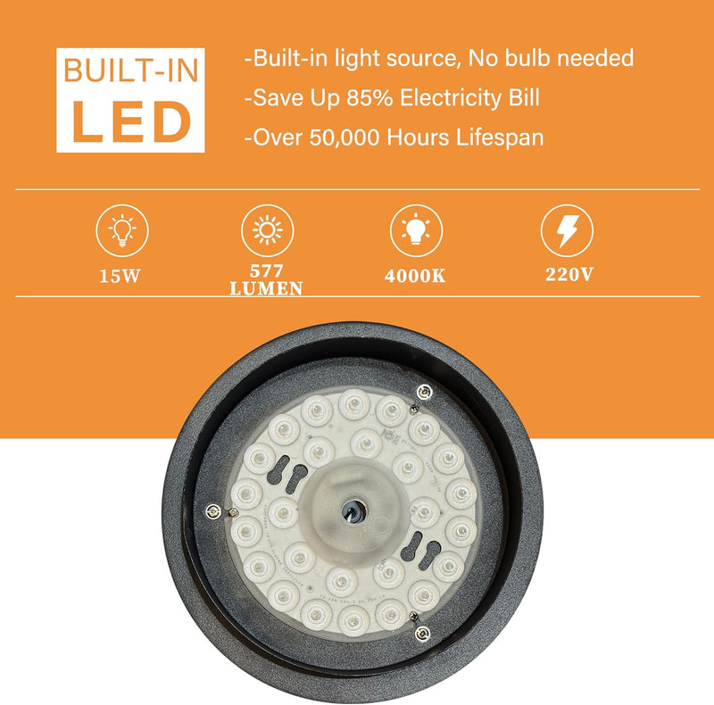 Outdoor Porch Ceiling Light with Built-In LED