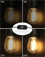 Outdoor String Lights 100FT LED Festoon Garden 30