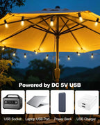 Outdoor String Lights 100FT LED Festoon Garden 30