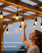 Outdoor String Lights 100FT LED Festoon Garden 30