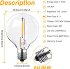 Outdoor String Lights 100FT LED Festoon Garden 30