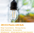 Outdoor String Lights 100FT LED Festoon Garden 30