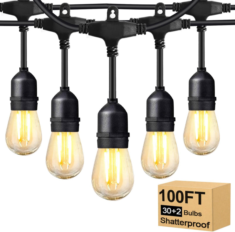 100FT Festoon Lights Mains Powered