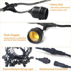 Outdoor String Lights 100FT LED Festoon Garden 30