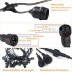 Outdoor String Lights 100FT LED Festoon Garden 30