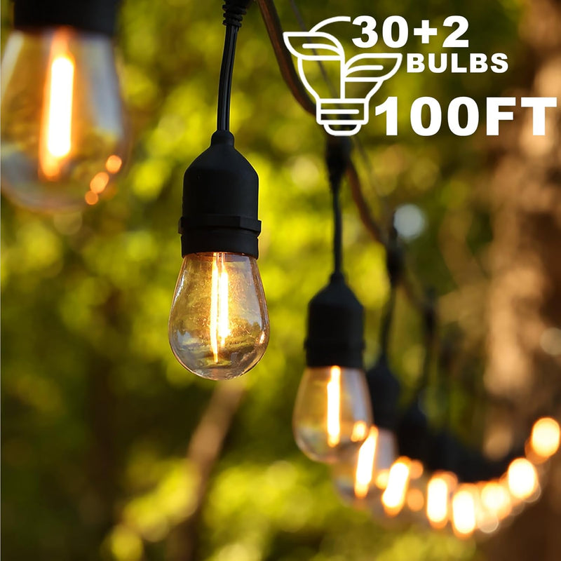 100FT Festoon Lights Mains Powered