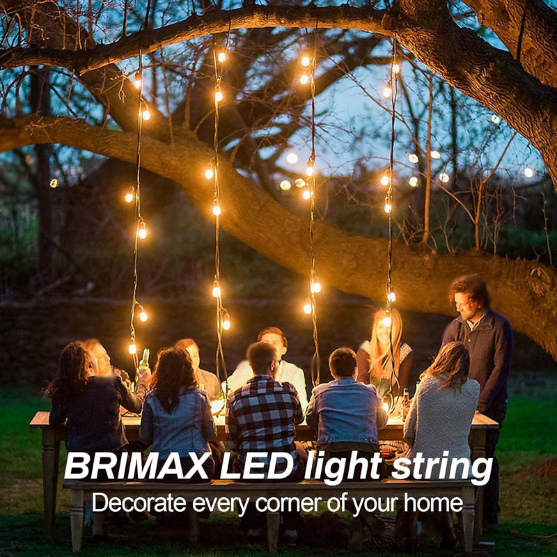 100FT Festoon Lights Mains Powered