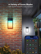 Outdoor Wall Lights Rgbic 1500lm Smart LED (2 Pack)