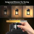 Outdoor Wall Lights with Motion Sensor Dusk to