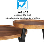 Oval Coffee Table Nest Wood: 2 Nesting Set