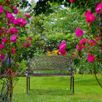 Patio Bench 2-Seater