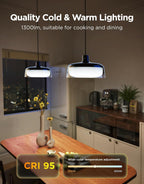 Pendant Light 3-Layer Rgbic Smart Hanging