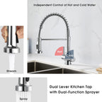 Peppermint Commercial Kitchen Tap with Pull Out Spray