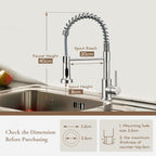 Peppermint Commercial Kitchen Tap with Pull Out Spray