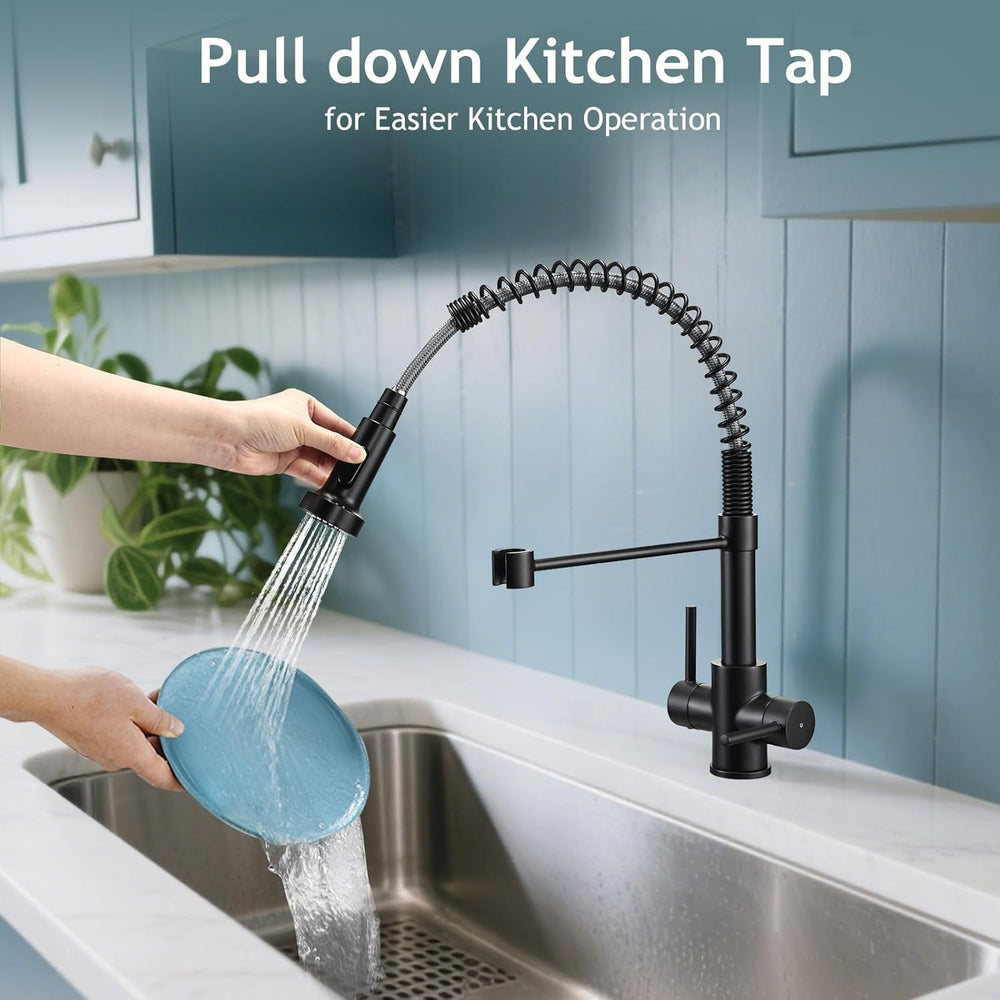 Kitchen Taps with Pull Out Spray Brushed Nickel