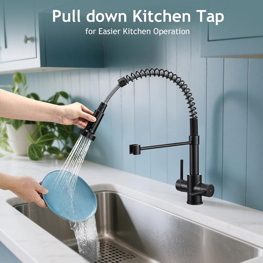 Kitchen Taps with Pull Out Spray Brushed Nickel