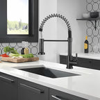 Peppermint Commercial Kitchen Tap with Pull Out Spray