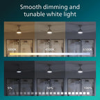 Ceiling Fan with LED Light 3 Blades 107