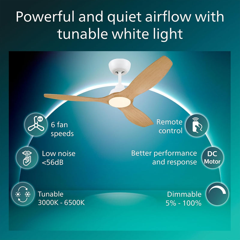 Ceiling Fan with LED Light 3 Blades 107