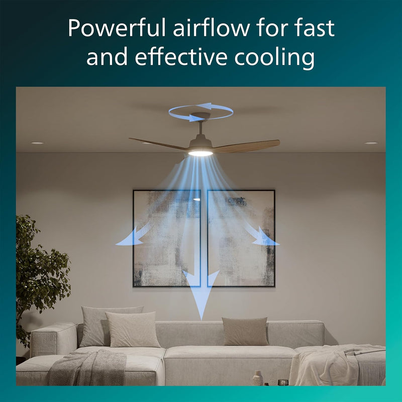 Ceiling Fan with LED Light 3 Blades 107