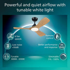 Ceiling Fan with LED Light 3 Blades 107