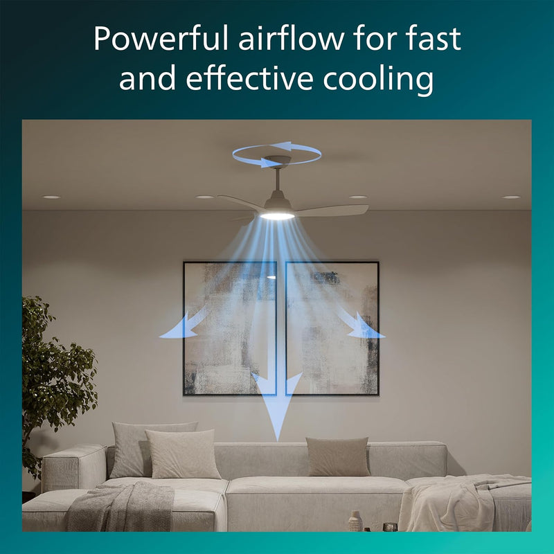 Ceiling Fan with LED Light 3 Blades 107