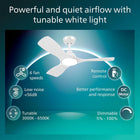 ceiling light