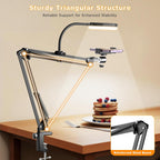Phone Mount with Ring Light Flexible Articulating Arm
