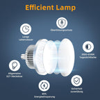 Photography Lighting Kit with 60W Dimmable -6500K LED