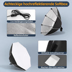 Photography Lighting Kit with 60W Dimmable -6500K LED