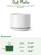 Plant Pot Large Ceramic Pots