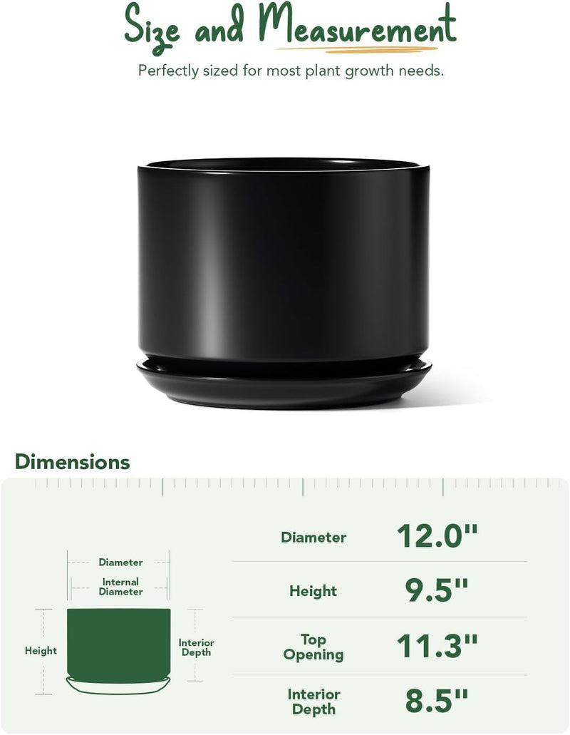 Plant Pot Large Ceramic Pots