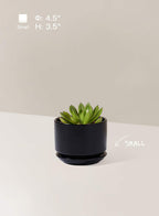 Plant Pot Large Ceramic Pots
