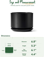 Plant Pot Large Ceramic Pots