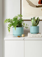 Plant Pot Large Ceramic Pots