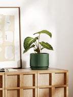 Plant Pot Large Ceramic Pots