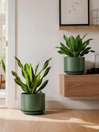 Plant Pot Large Ceramic Pots