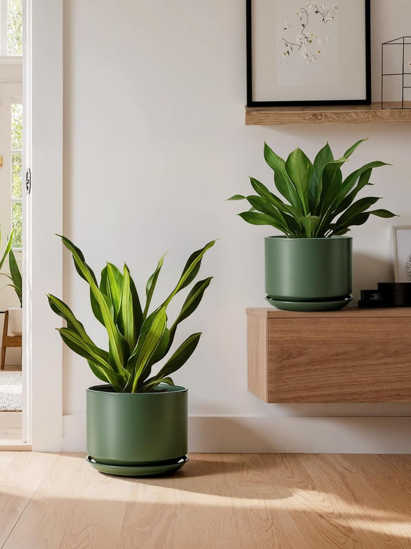 Plant Pot Large Ceramic Pots