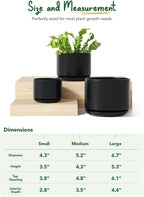Plant Pot Large Ceramic Pots