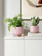 Plant Pot Large Ceramic Pots