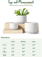 Plant Pot Large Ceramic Pots