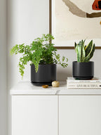 Plant Pot Large Ceramic Pots