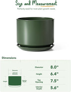 Plant Pot Large Ceramic Pots