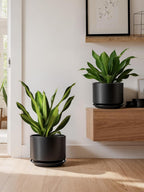 Plant Pot Large Ceramic Pots